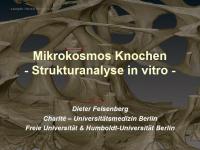 Abbildung 1: Mikrokosmos Knochen