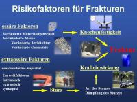 Abbildung 2: Mikrokosmos Knochen