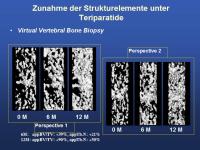Abbildung 7: Mikrokosmos Knochen