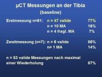 Abbildung 16: Mikrokosmos Knochen