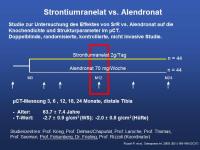 Abbildung 17: Mikrokosmos Knochen