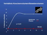Abbildung 19: Mikrokosmos Knochen