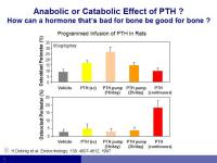 Abbildung 3: Osteoporose