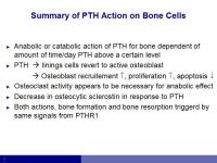 Abbildung 6: Osteoporose