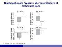 Abbildung 17: Osteoporose