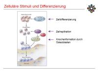 Abbildung 6: PTH 1-84