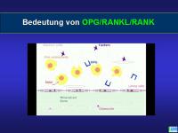 Abbildung 3: Knochenremodeling