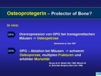 Abbildung 11: Knochenremodeling