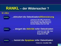 Abbildung 12: Knochenremodeling
