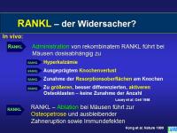 Abbildung 13: Knochenremodeling