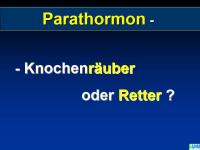 Abbildung 23: Knochenremodeling