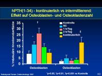 Abbildung 24: Knochenremodeling