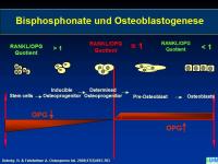 Abbildung 29: Knochenremodeling