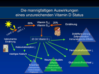 Abbildung 9: Vitamin D - Kalzium