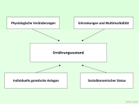 Abbildung 4: Ern�hrung - alter Mensch