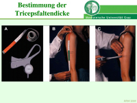 Abbildung 17: Ern�hrung - alter Mensch
