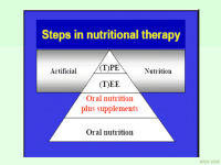 Abbildung 22: Ern�hrung - alter Mensch