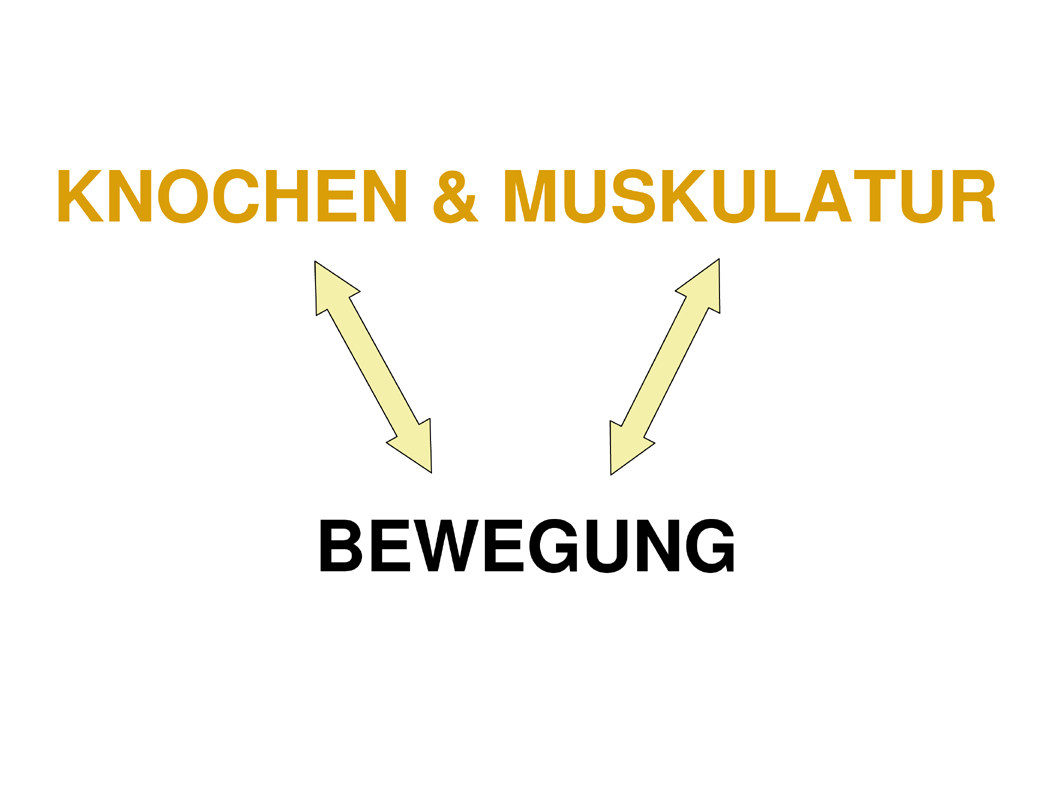Abbildung 11: Bewegung