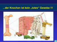 Abbildung 3: Osteoporose - Medikament�se Therapie