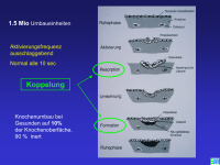 Abbildung 5: Osteoporose - Medikament�se Therapie