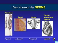 Abbildung 32: Osteoporose - Medikament�se Therapie