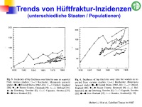 Abbildung 3: Frakturrisiko - �sterreich