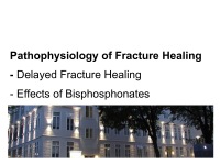 Abbildung 10: Bisphosphonates