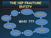 Abbildung 4: Orthopaedic Perspective