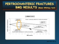 Abbildung 25: Orthopaedic Perspective