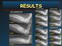 Abbildung 38: Orthopaedic Perspective