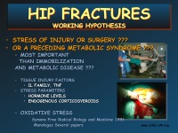 Abbildung 45: Orthopaedic Perspective