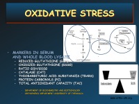 Abbildung 46: Orthopaedic Perspective
