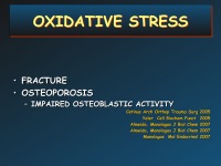 Abbildung 48: Orthopaedic Perspective