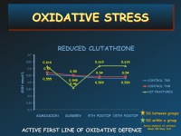 Abbildung 50: Orthopaedic Perspective