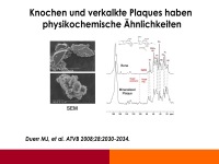 Abbildung 9: Osteoporose