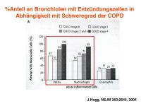 Abbildung 7: COPD - Osteoporose