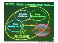 Abbildung 10: COPD - Osteoporose