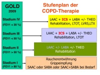 Abbildung 31: COPD - Osteoporose