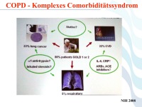 Abbildung 40: COPD - Osteoporose