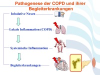 Abbildung 44: COPD - Osteoporose