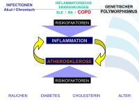 Abbildung 48: COPD - Osteoporose