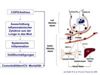 Abbildung 49: COPD - Osteoporose