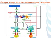 Abbildung 68: COPD - Osteoporose