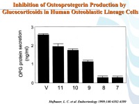 Abbildung 73: COPD - Osteoporose