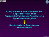 Abbildung 2: Knochenmasse