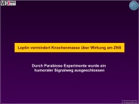 Abbildung 5: Knochenmasse