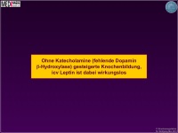 Abbildung 7: Knochenmasse