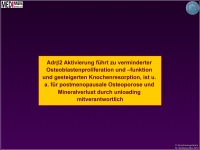 Abbildung 10: Knochenmasse