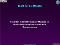 Abbildung 13: Knochenmasse
