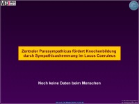 Abbildung 20: Knochenmasse